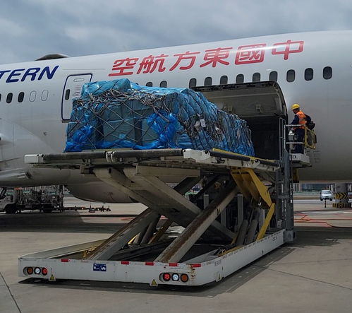 东航物流提速扩能，520鲜花运输与打包服务全面升级